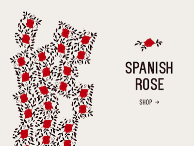 "Hand drawn" Spanish Rose fashion advert