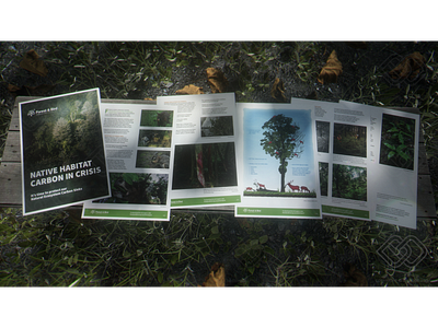 6-page campaign, arranged on a wooden bench, in a forest setting campaign environment fcp graphic design illustration infographic mo2 mockup motion print layout volunteer