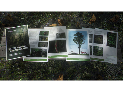 6-page campaign, arranged on a wooden bench, in a forest setting