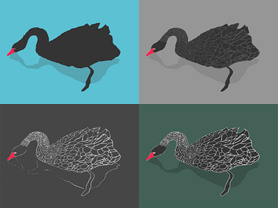 black swan illustration