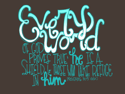 Proverbs 30:5 bible blue design draw handlettering sketch verse word