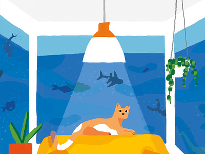 Daily Telegraph bay window cat fish house houseplants living room ocean sofa