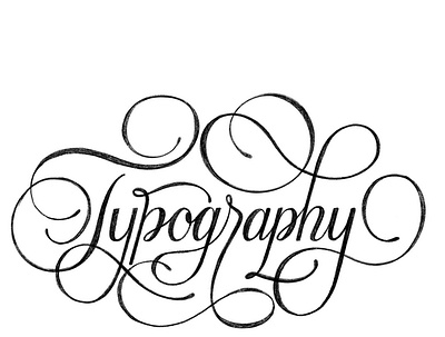 Typography branding design handlettering illustration logo procreate type typography