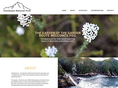 Website Redesign design minimalism nature student web design