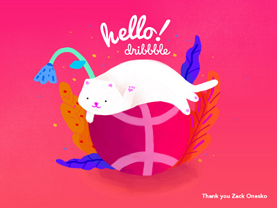 Dribbble First Shot! 2d ball drawing dribble first shot cat illustration plant