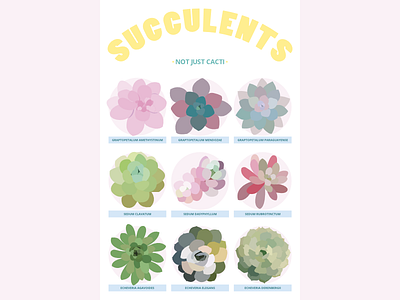 Succulent Poster illustration plants poster succulents typography