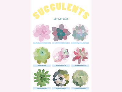 Succulent Poster