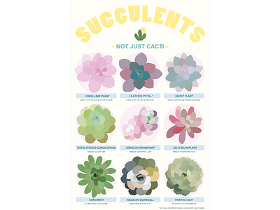 Succulent Poster Final design illustration infographic poster succulents vector