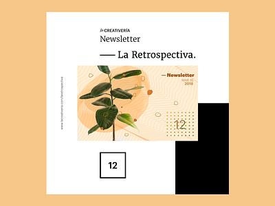 La Creativería: Newsletter