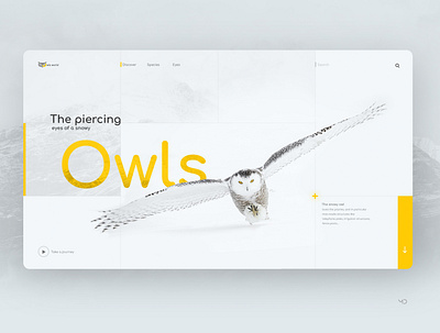 Owls design flat graphic minimal typography ui web webdesign website