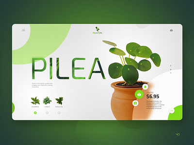 PILEA design flat graphic icon logo typography ui web webdesign website