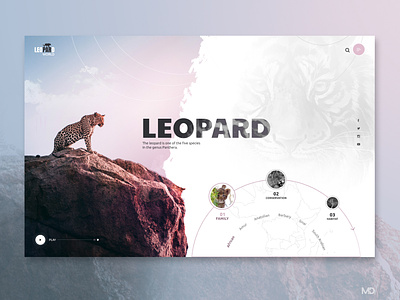 LEOPARD design ui web webdesign