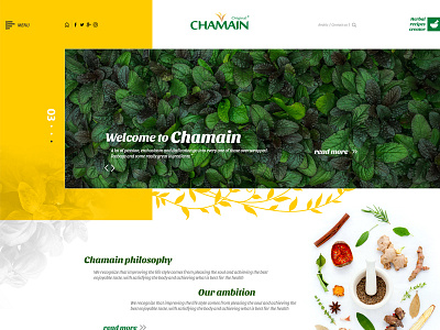 Chamain website web webdesign