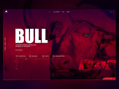 Bull Design Concept animal bull earth flat graphic icon illustration logo typography ui ux web webdesign