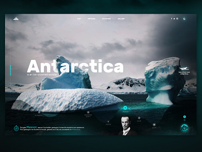 ANTARCTICA antarctica desain flat graphic icon illustration logo type typography ui vector web website