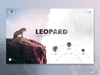 Leopard World design flat graphic icon leopard logo minimal typography ui web webdesign website
