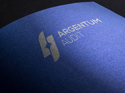 Argentum Audit argentum art audit branding corporate identity logo shining silver