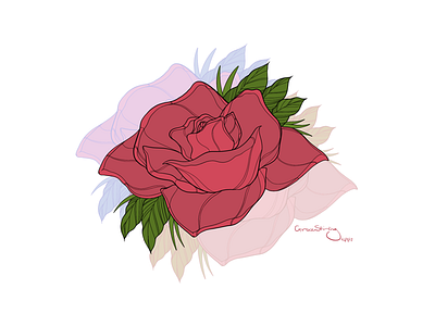 Rose Red 2d art creative design digital draw drawing graphic illustration picture red rose