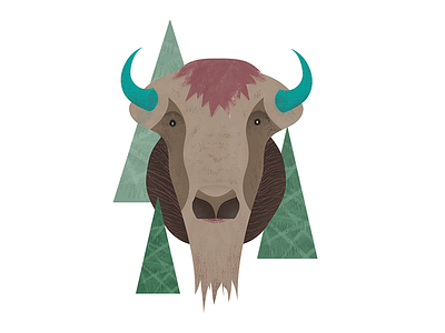 bison animal bison illustration
