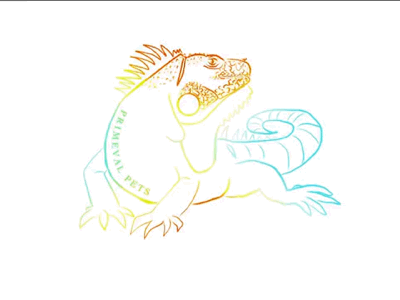 Not a chameleon animal animation color iguana illustration logo