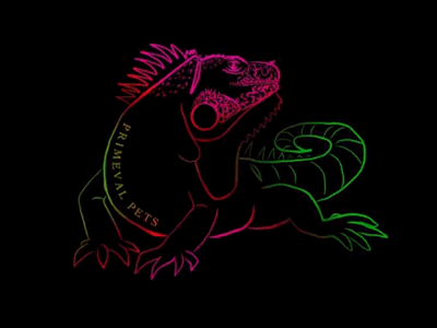 Iguana work on contrast animals animated color illustration logo