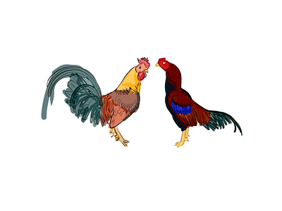 Roosters chicken color illustration paint rooster