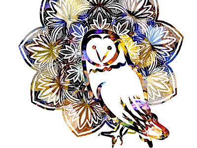 Owlbet you didn’t see this coming color design illustration photo