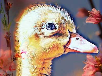 Spring duckling artist digital art duck spring