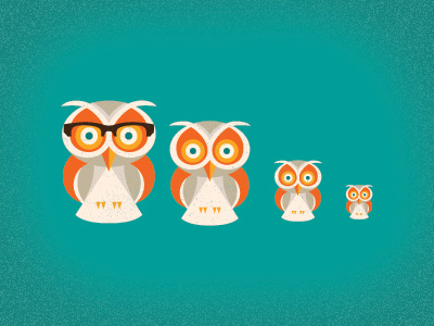 Nice Hooters owl50948567