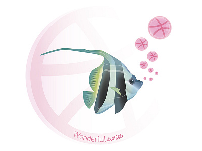 Wonderful dribbble art bubbles dribbble fish illustration