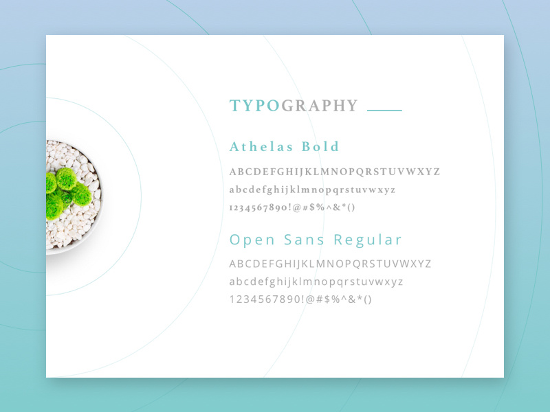 Dental Clinic web project ui-ux design clinic tooth teeth dental fonts plant typography circle blue green