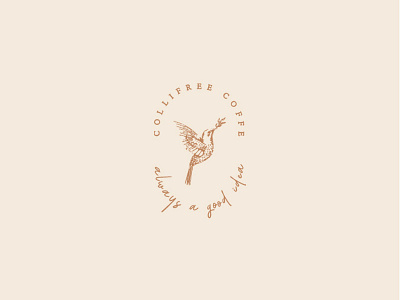 Collifree Coffee beauty beauty logo beauty product brand branding coffee design icon identity illustration lettering logo minimal minimalism modern pastel pastel color simple typography ui