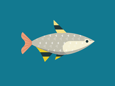 Fisk abc animals color fish flat icon illustration pattern simple texture