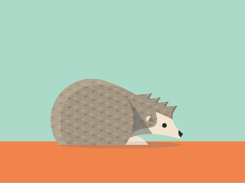 Hedgehog illustration hedgehog animals abc flat color simple pattern