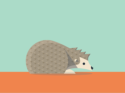 Hedgehog abc animals color flat hedgehog illustration pattern simple