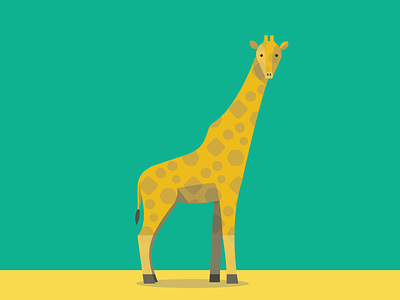 Giraffe abc animals color flat giraffe illustration pattern simple