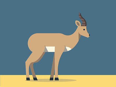 Antilope abc animals antilope color flat illustration pattern simple