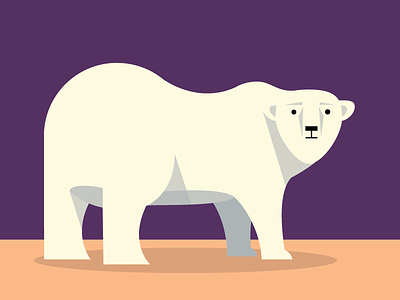 Bear abc animals bear color flat illustration simple