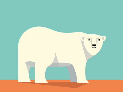 Bear abc animals bear color flat illustration simple vector