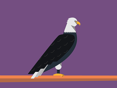 Eagle abc animals color eagle flat illustration pattern purple simple