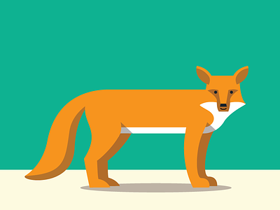 Fox abc animals color flat fox illustration simple