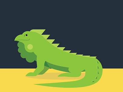 Iguana