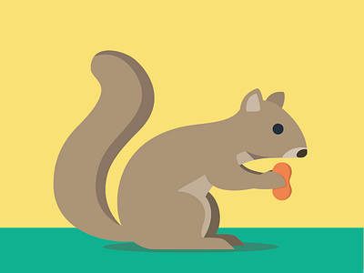 Squirrel abc animals color flat illustration simple squirrel