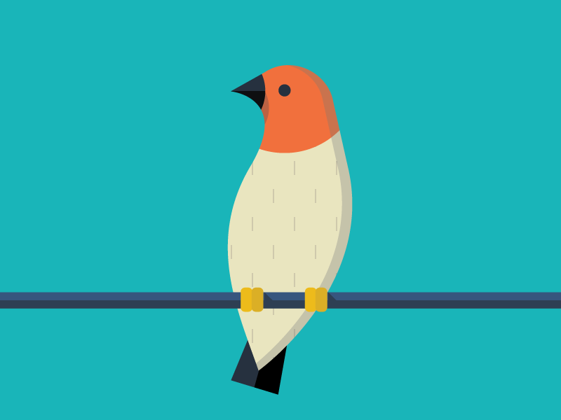 Quelea illustration animals abc flat color simple quelea