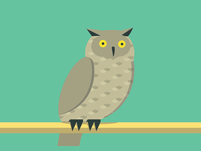 Owlitto abc animals color flat illustration owl pattern simple