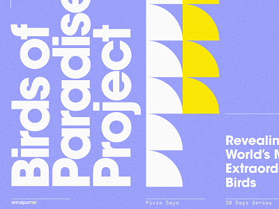Pixie Says Series – 23 / Bird of Paradise illustration minimal poster print type typographic typography vector