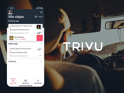 Trivu / Carpool App argentina icon set start up styleguide ui design ux design