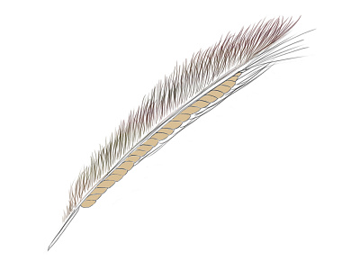 Feather Rye Concept