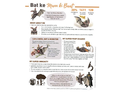 Bat Infographic batconservstion bats graphicdesign illustration infographic minimalist wildlife