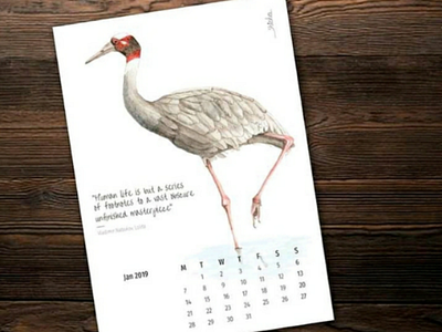 2019 Calendar birds bookquotes calendar calendar2019 illustrations